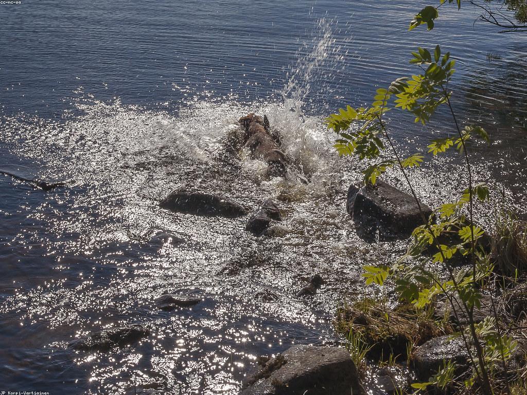 ជម្រើសកម្រិតស្នាក់នៅដែលមានស្រាប់សម្រាប់អ្នកដំណើរ