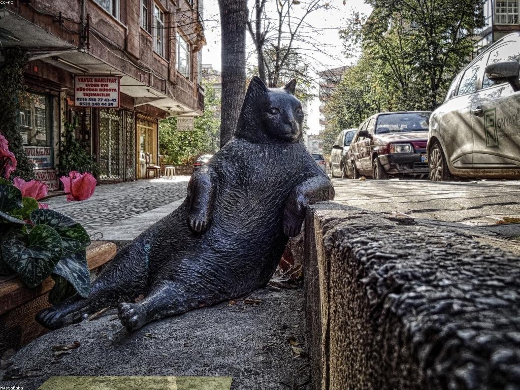 យុទ្ធសាស្ត្រសម្រាប់ការបង្កើតនូវការប្រែប្រួល