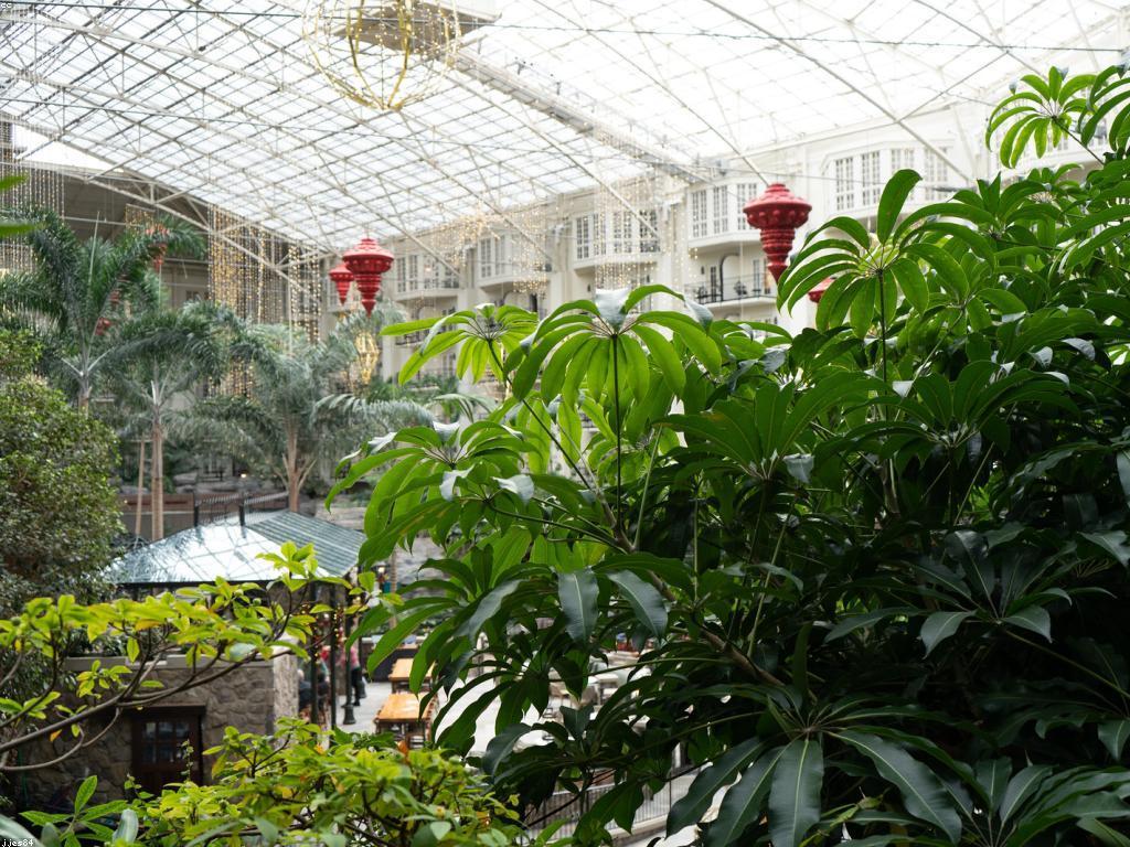 ការកសាងអាជីវកម្ម: របៀបសំរេចគោលបំណងរបស់អ្នក