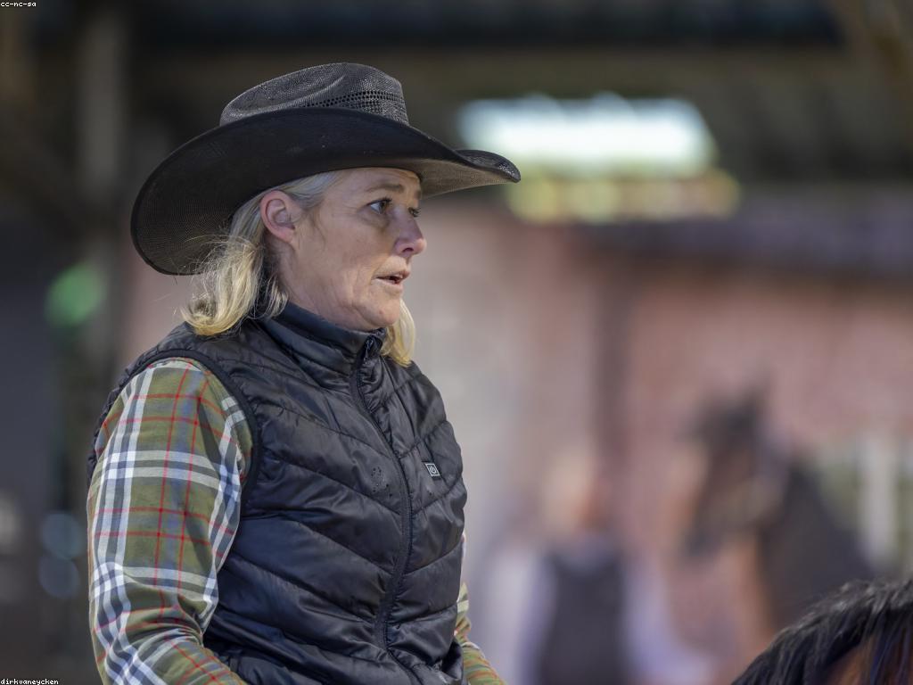 ប្រវត្តិនៃការប្រកួតជើងឯក