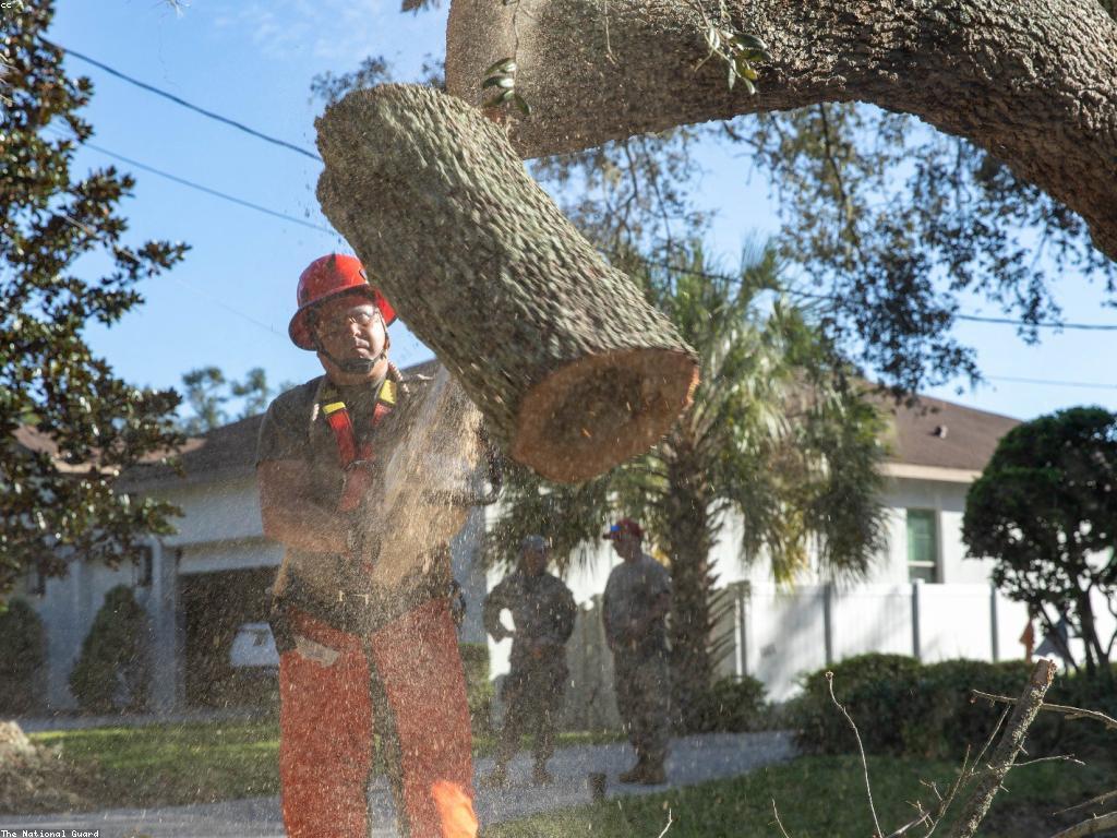 និន្នាការថ្មីៗក្នុងការប្រកួតជើងឯក
