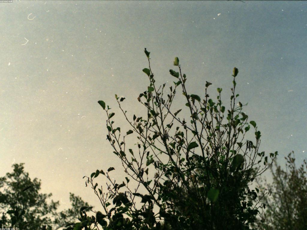 ការយល់ដឹងអំពីកម្រិតស្នាក់នៅ