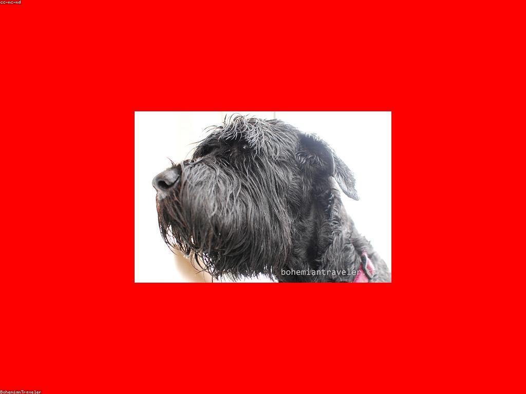 សង្ខេបអំពីកម្រិតស្នាក់នៅ