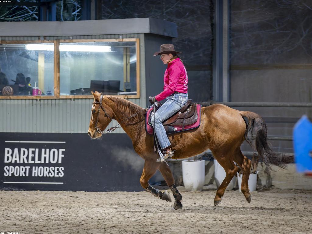 អ៉ិនផាក់នៃបច្ចេកវិទ្យាក្នុងការប្រកួតជើងឯក