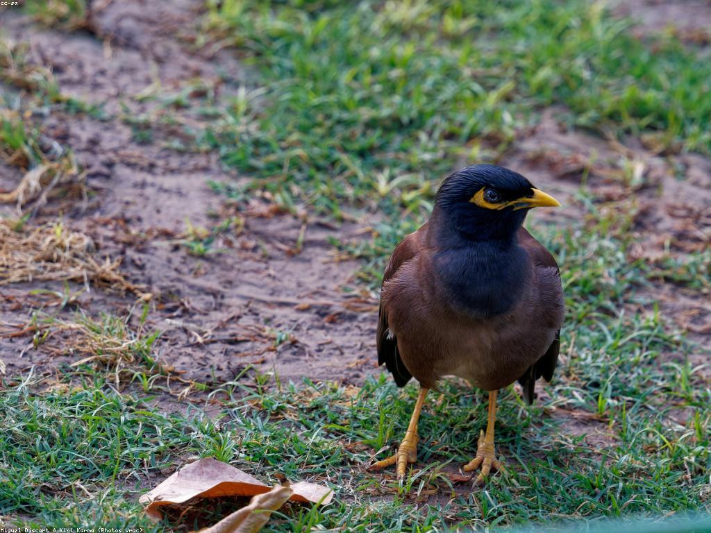 ប្រភេទកម្រិតស្នាក់នៅសម្រាប់អ្នកដំណើរ