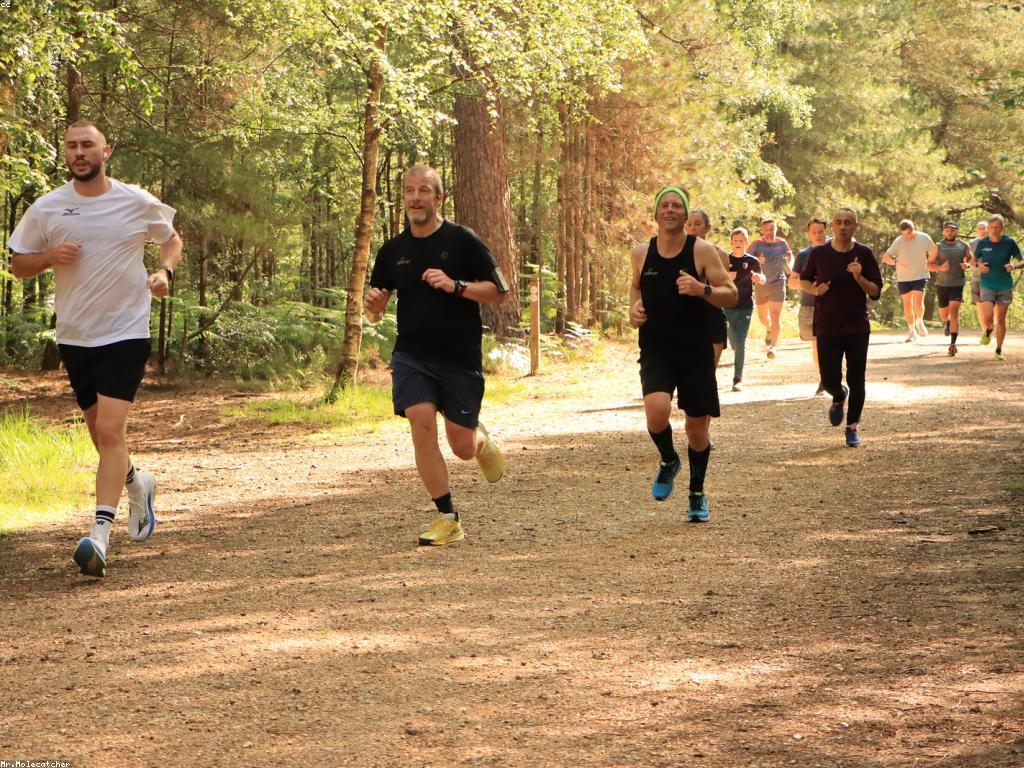 និន្នាការថ្មីៗក្នុងការប្រកួតជើងឯក