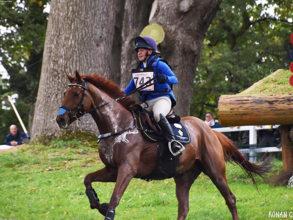 ប្រវត្តិនៃការប្រកួតជើងឯក