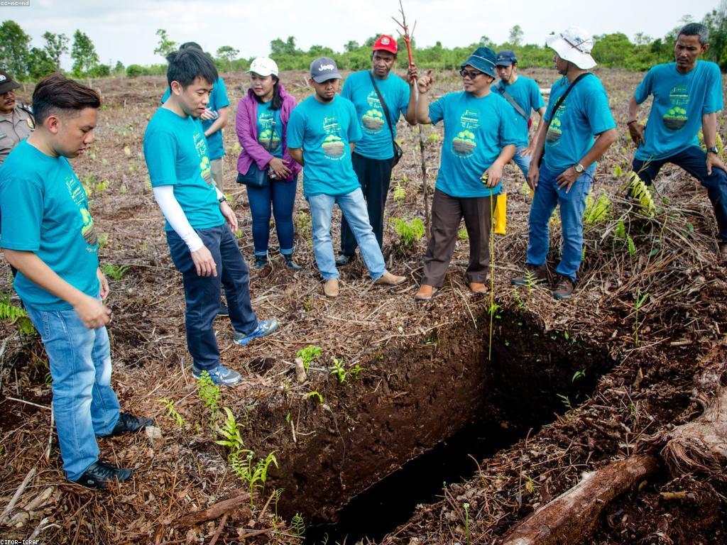 វិធីសាស្រ្តចំណូលដ៏មានប្រសិទ្ធភាព